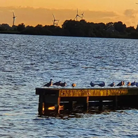 Alter Schwede